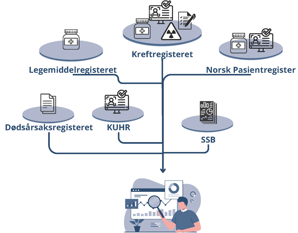 Figur 1. Datakilder og koblinger