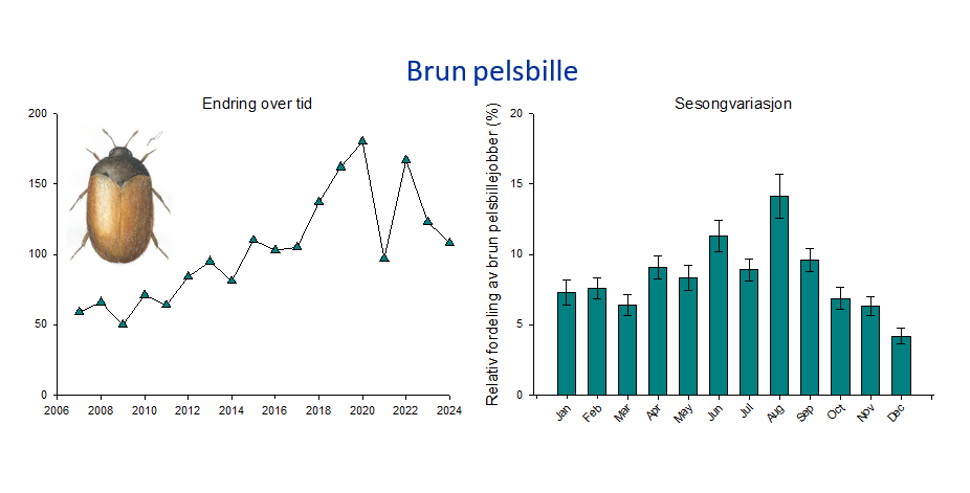 Graf brun pelsbille