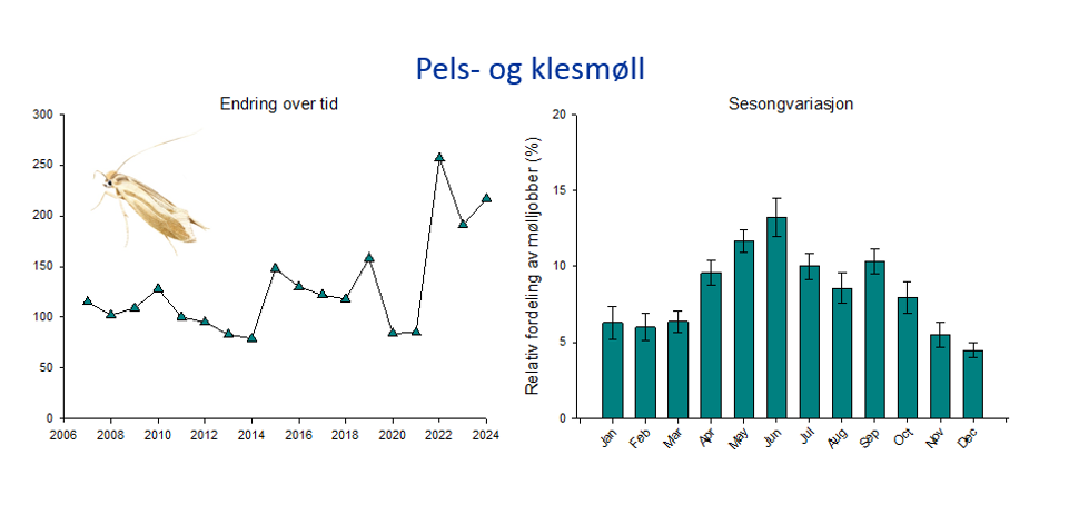 Graf pels og klesmøll