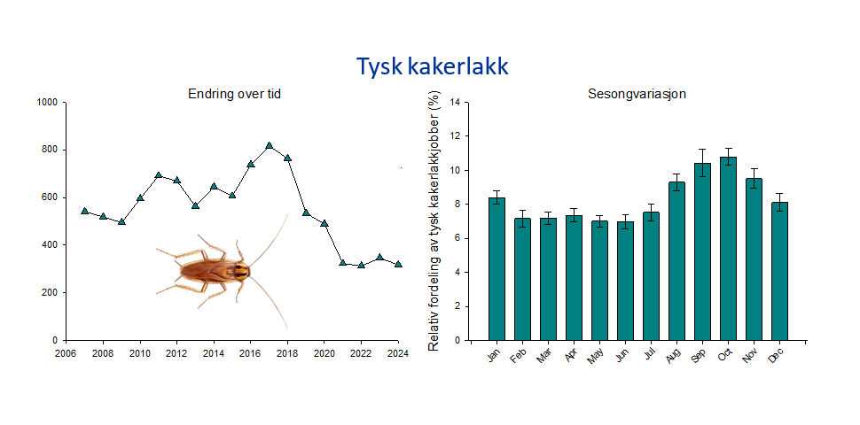 graf tysk kakkerlakk