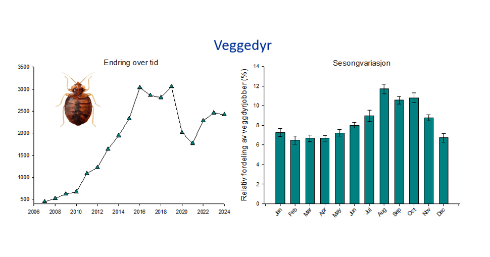 graf veggedyr