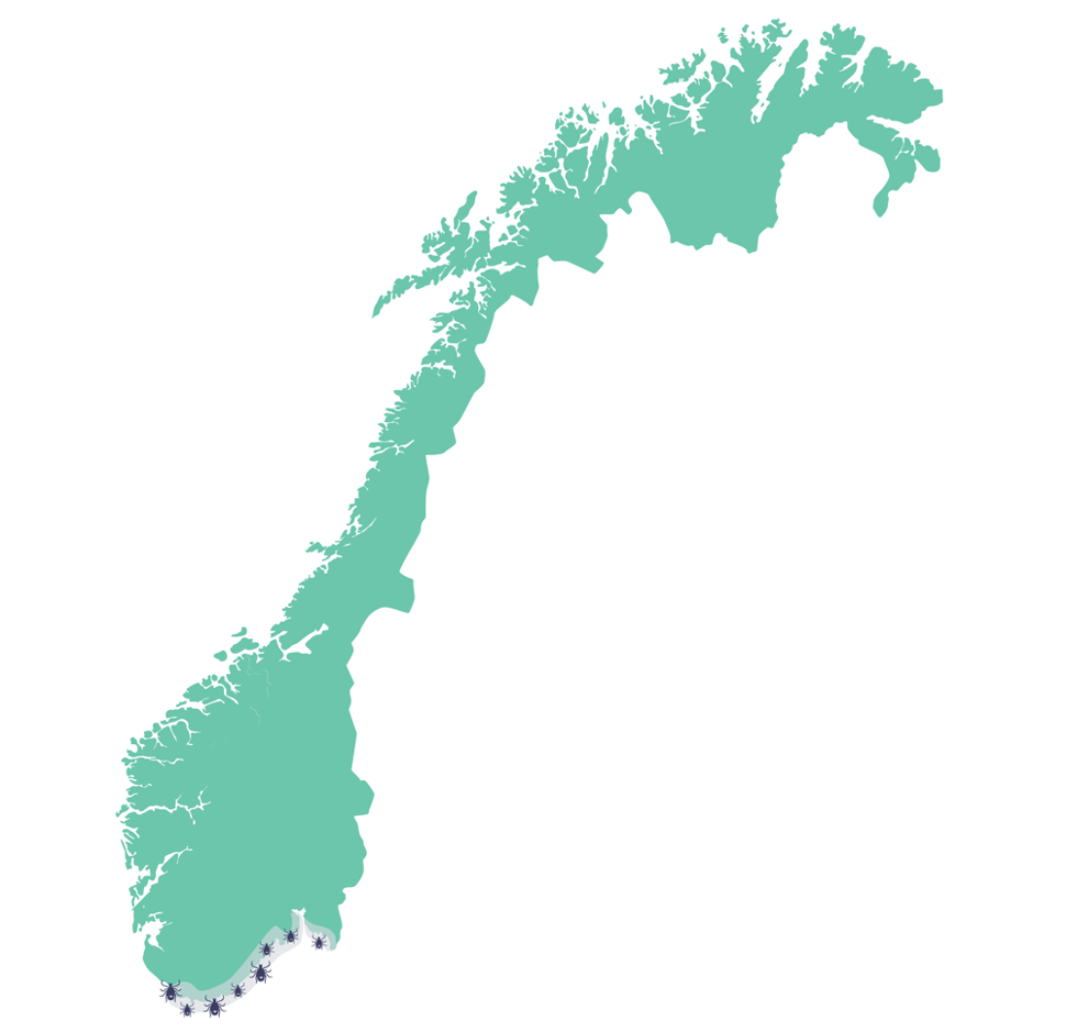 Områder med skogflåttencefalitt