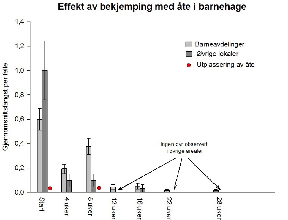 Effekt av bekjemping med åte i barnehage