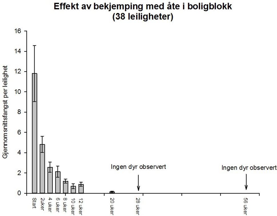 Figur Effekt av bekjemping med åte i boligblokk 38 leiligheter 201219.jpg