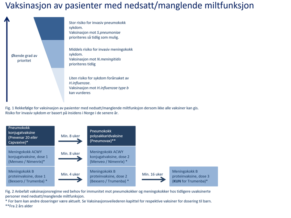 Flytskjema som viser rekkefølgen og anbefalt vaksinasjonsregime knyttet til vaksinering av pasienter med manglende eller nedsatt miltfunksjon
