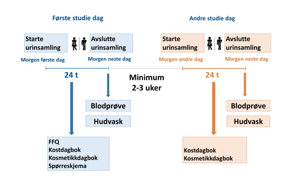 figuren viser hvordan innsamlingen av prøver foregikk på dag 1 og dag 2