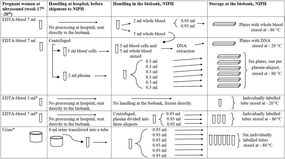 Figure 2. Flow chart of the process from MoBa sample collection to storage of the different specimen at the biobank. This chart shows the process for samples collected from the pregnant women taken at ultrasound at week 17th - 20th of pregnancy.  * Additional tubes added to the collection. Purpose use was measurement of environmental exposures during pregnancy. These samples are referred to as K12 