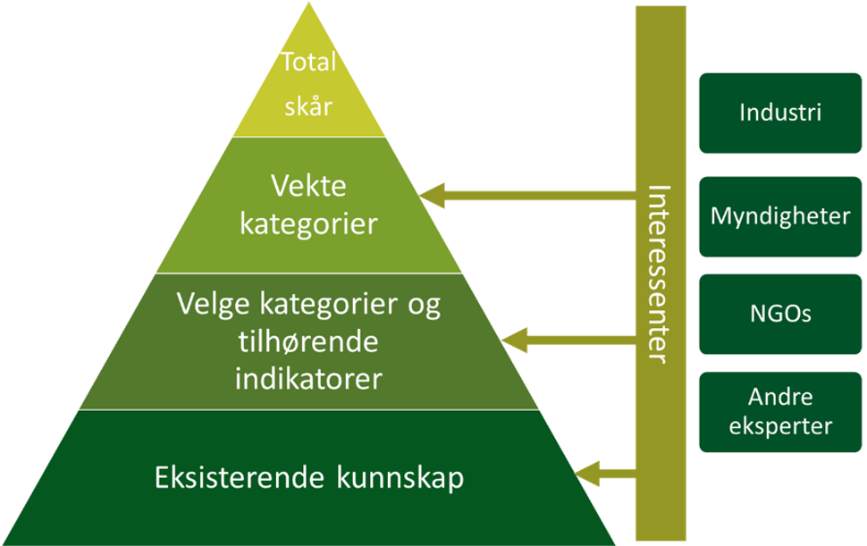 Tegning som viser prosessbeskrivelse for samhandling og utvikling av rammeverket for miljømessig og sosial bærekraft