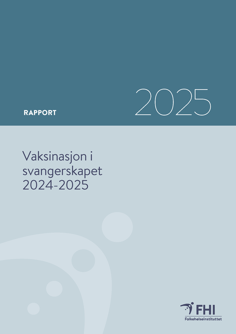 Rapportens forside