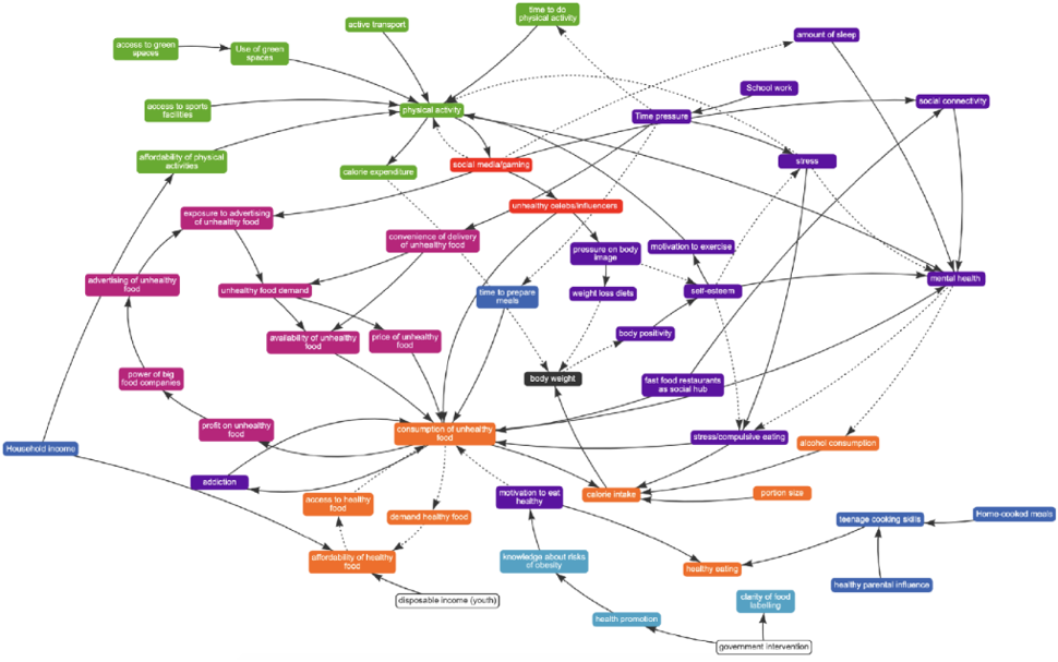 En illustrasjon av systems mapping tool, som er utviklet av CO-CREATE. Den viser hvordan alle mulige faktorer avhenger av hverandre når det gjelder fysisk helse og ernæring.