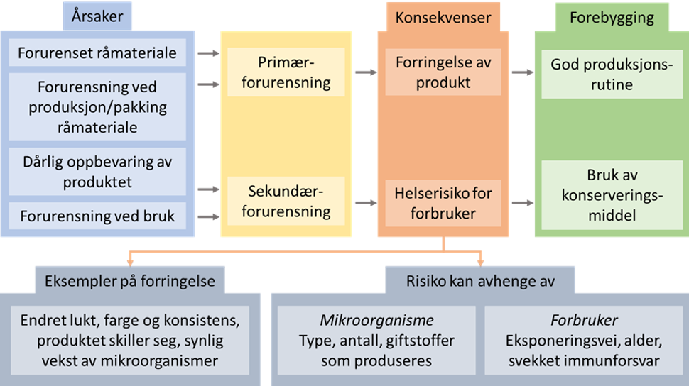 figur_konserveringsmidler kosmetikk.png