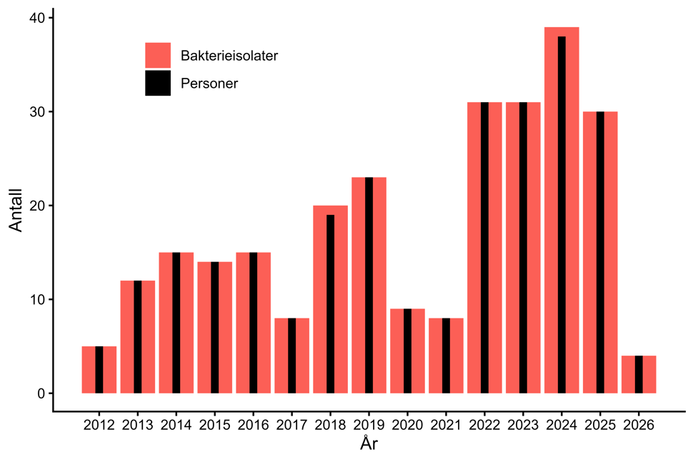 Figur 13. Antall personer og bakterieisolater med karbapenemase-produserende Acinetobacter spp. meldt til MSIS i perioden 2012-01.02.2026. Kilde: MSIS, FHI.