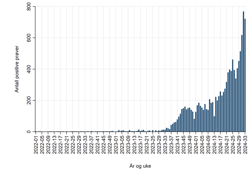 Antall påvisninger av Mycoplasma pneumoniae per uke, 3.1.2022 – 18.8.2024