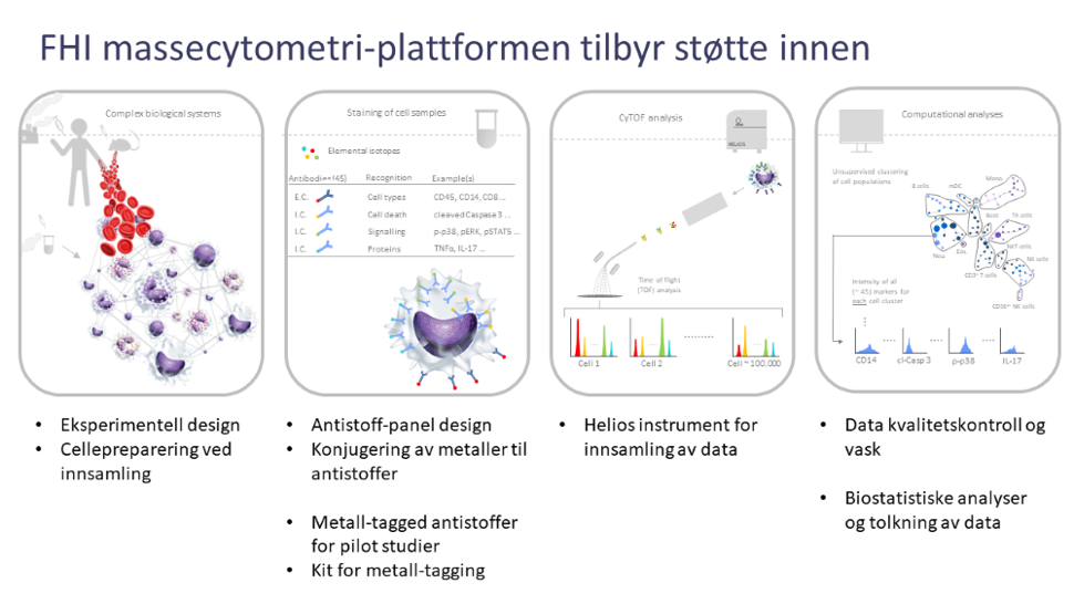 Skjematisk illustrasjon av arbeidsflyten ved massecytometri