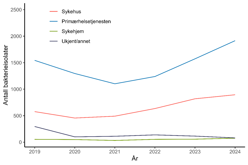 Figur 32: Antall bakterieisolater meldt med MRSA til MSIS i perioden 2019-2024 fordelt på rekvirent av prøven. Kilde: MSIS, FHI.