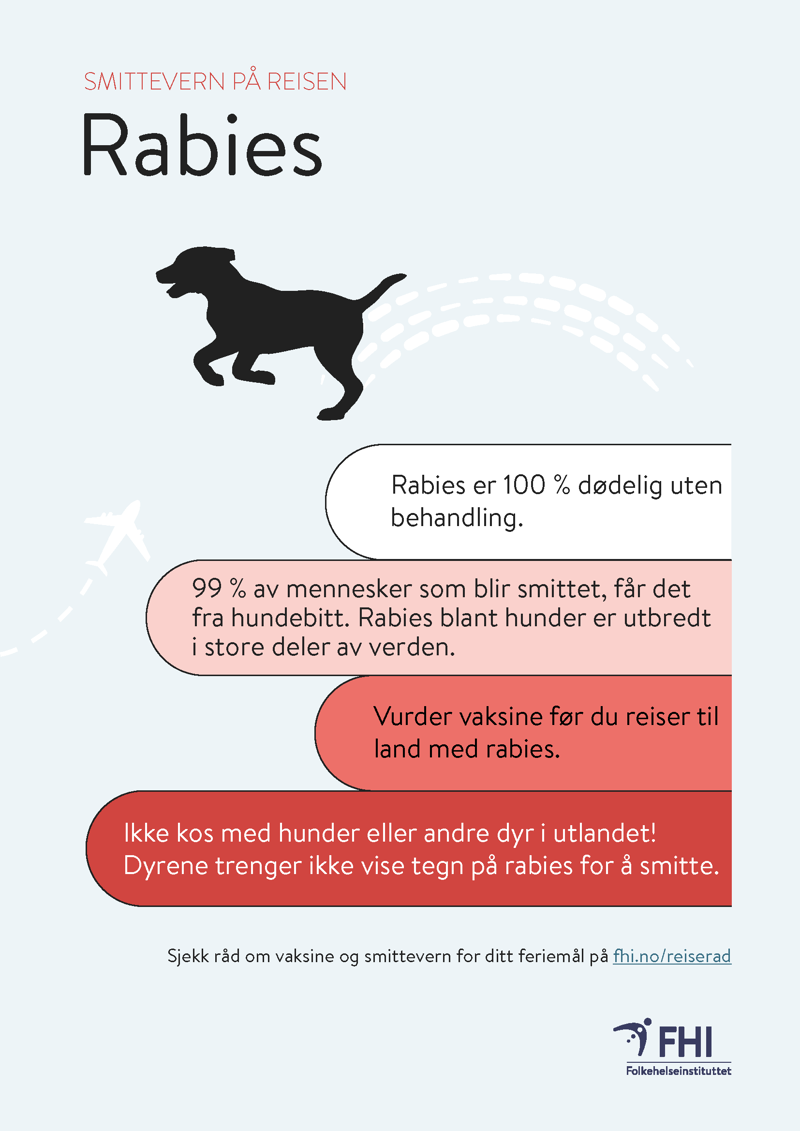 Rabies plakat