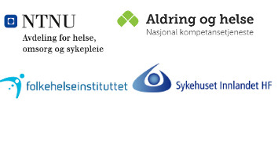 norsestudien_logoer_samarbeid.jpg