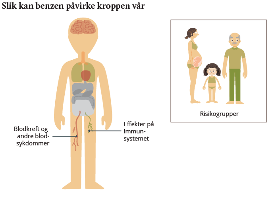 Kilde og copyright: Miljødirektoratet og Folkehelseinstituttet 