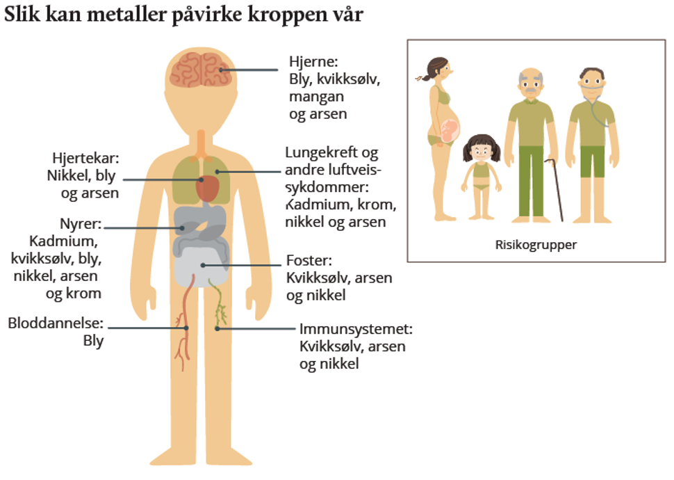 Kilde og copyright: Miljødirektoratet og Folkehelseinstituttet 
