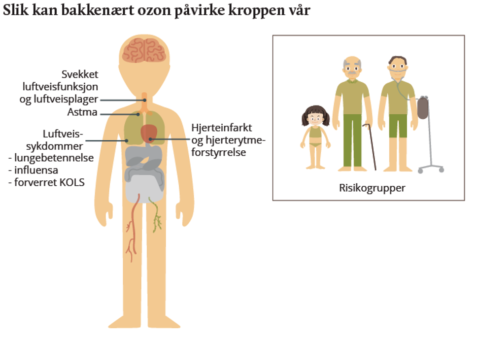 Kilde og copyright: Miljødirektoratet og Folkehelseinstituttet 