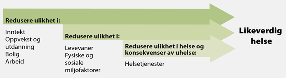 Figur 1. Eksempler på områder der man kan gjøre en innsats for å redusere sosiale helseforskjeller. De grunnleggende faktorene som påvirker hele årsaksbildet står lengst til venstre 