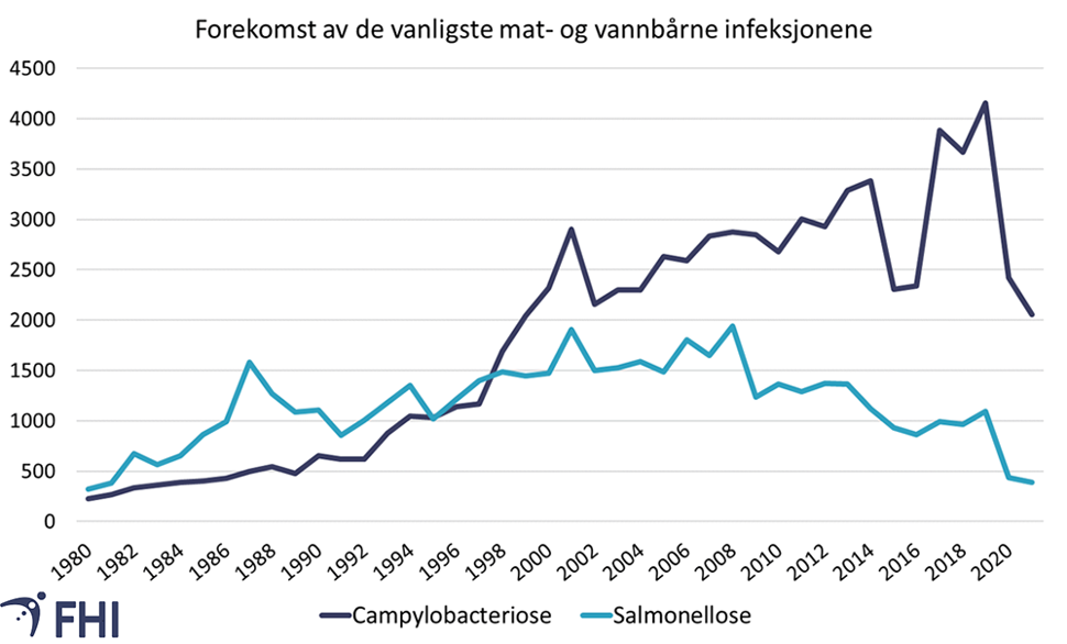 Figur 4.  Antall pasienter med campylobacteriose og salmonellose som er meldt til MSIS årlig, 1980 – 2021. En nedgang i antall meldte tilfeller av salmonellose og campylobacteriose sees i årene 2020 og 2021, trolig som følge av covid-19-pandemien og tiltak som bedret håndhygiene, kontaktreduserende tiltak, mindre reiseaktivitet og færre som oppsøkte lege og testet seg for disse infeksjonene (Stefanoff et al., 2021). Kilde: MSIS  
