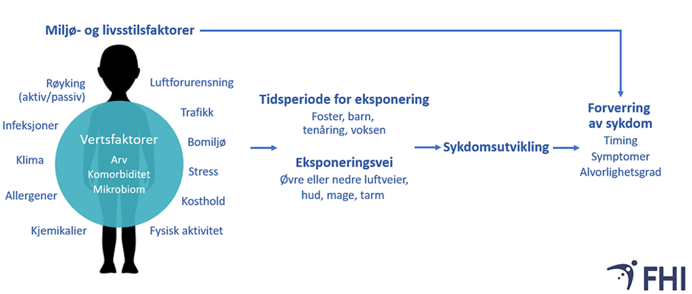 Figur 6. Eksempler på miljø- og livsstilsfaktorer og vertsfaktorer som i kombinasjon med tidsperiode for eksponering og eksponeringsvei kan påvirke utvikling av astma og allergisk sykdom. Miljø- og livsstilsfaktorene kan også gi økte symptomer og derved forverre sykdommen hos de som allerede er syke. Illustrasjon: FHI 