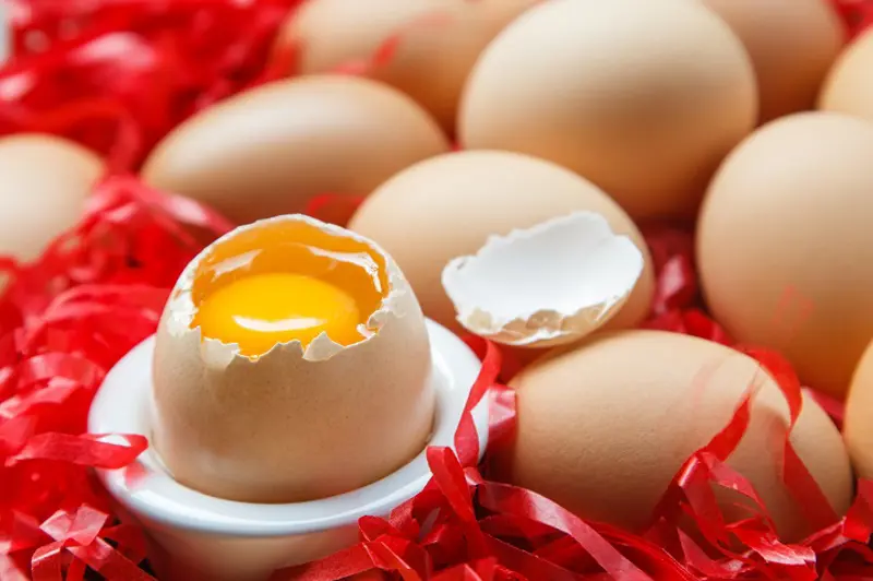 egg2COLOURBOX10194168.jpg