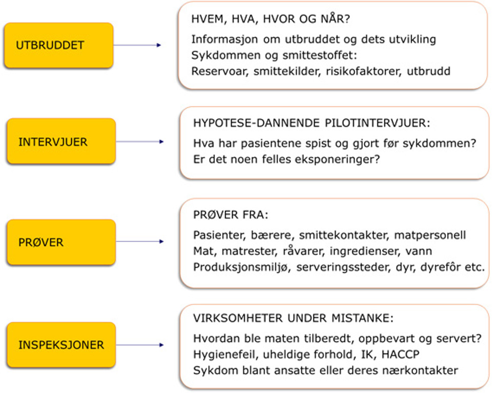 utbruddsveilederen 16.jpg