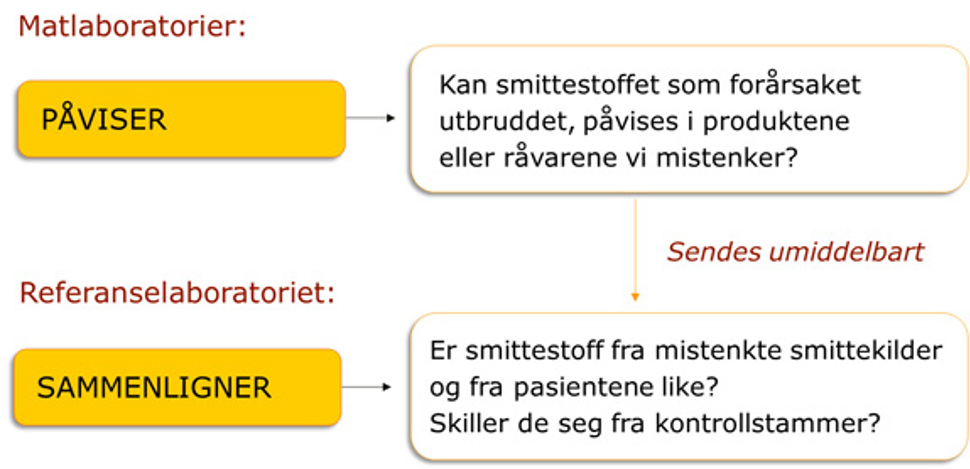 utbruddsveilederen figur 10.2.jpg