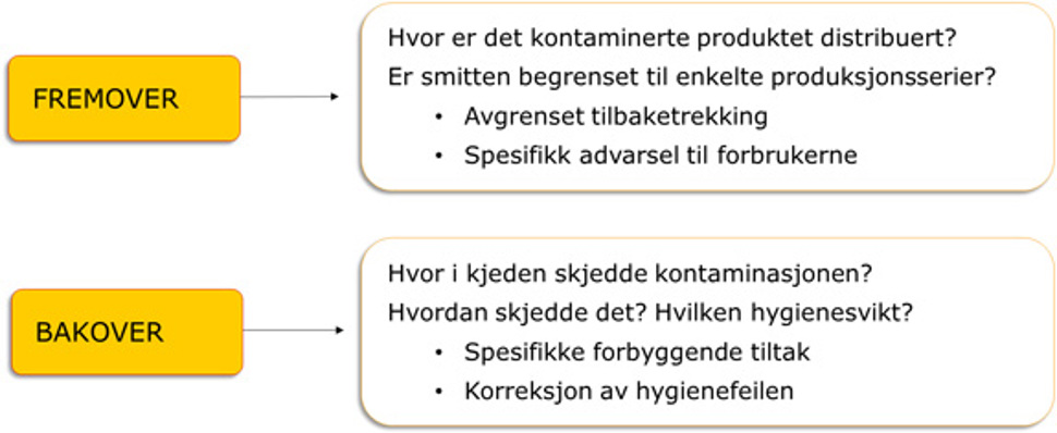 utbruddsveilederen figur 11.3.jpg