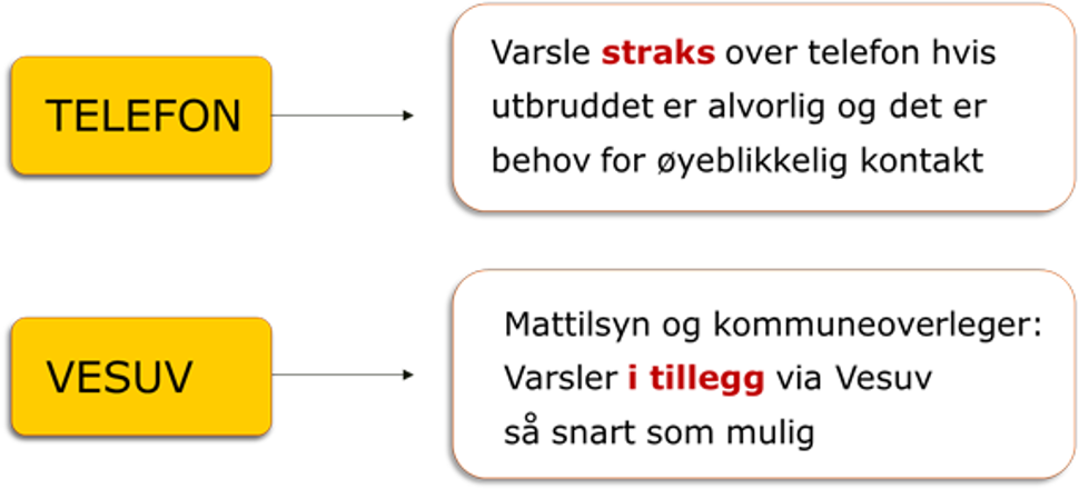 utbruddsveilederen figur 6.png
