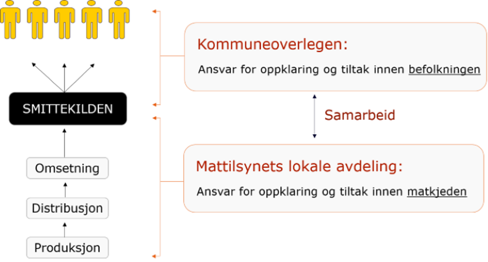 Lokale Utbrudd Figur.png