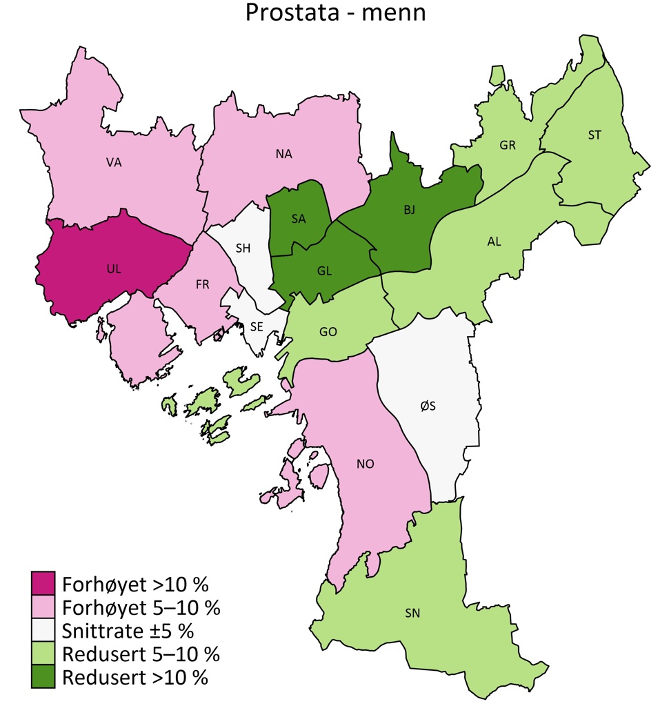 fig_prostata_menn (00).jpg