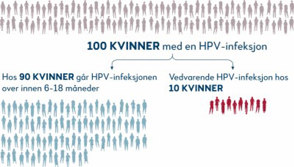 Hvor mange av 100 kvinner vil ha en vedvarende HPV-infeksjon, sammenliknet med hvor mange som vil ha en HPV-infeksjon som går over i løpet av ½- 1 ½ år.